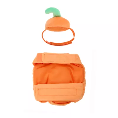 Thrills & Chills® Small Pet Pumpkin Costume - Image 3