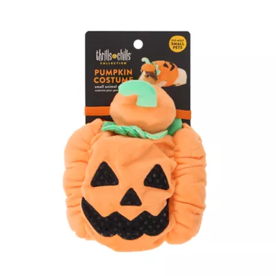 Thrills & Chills® Small Pet Pumpkin Costume - Image 4