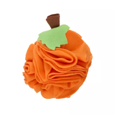 Thrills & Chills® Small Pet Pumpkin Foraging Toy - Image 1