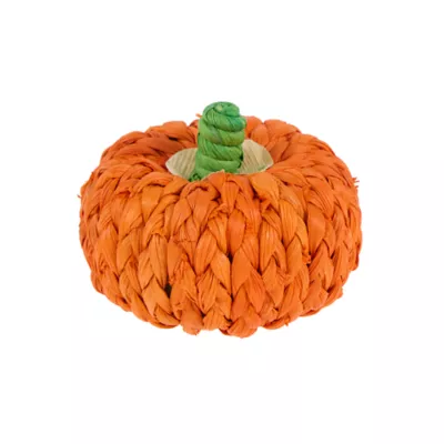 Thrills & Chills® Small Pet Pumpkin Chew - Image 1