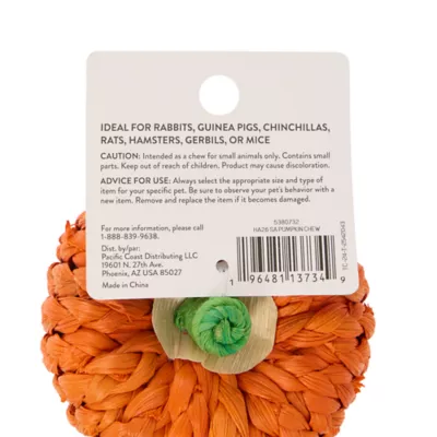 Thrills & Chills® Small Pet Pumpkin Chew - Image 3