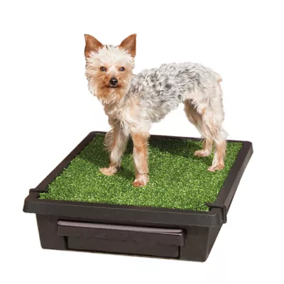 PetSafe Pet Loo Portable Dog Potty - Pet Toilet Alternative for Puppy Pads - Image 2