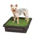 PetSafe Pet Loo Portable Dog Potty - Pet Toilet Alternative for Puppy Pads image thumbnail 2