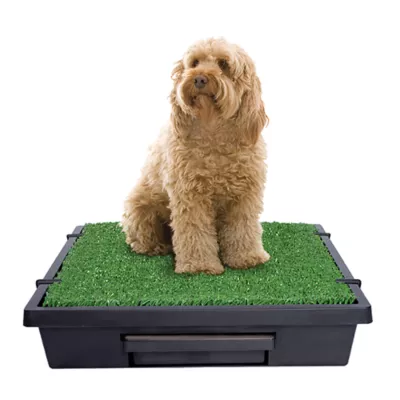 PetSafe Pet Loo Portable Dog Potty - Pet Toilet Alternative for Puppy Pads - Image 2