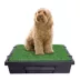 PetSafe Pet Loo Portable Dog Potty - Pet Toilet Alternative for Puppy Pads image thumbnail 2