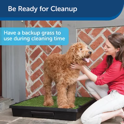 PetSafe Pet Loo Pet Potty Replacement Grass - Easy to Clean - Image 5