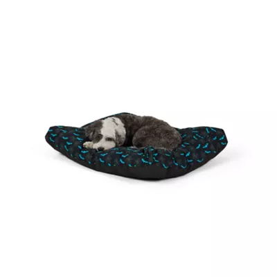 Thrills & Chills® Halloween Bats Pillow Dog Bed, ONESIZE 36 IN L X 28 IN W - Image 1