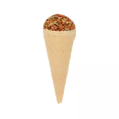 Thrills & Chills® Small Pet Pumpkin Cone Treat - Image 1