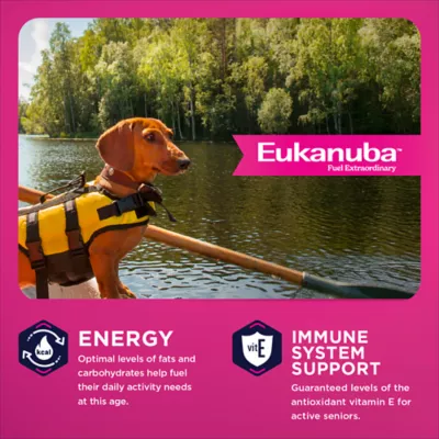 Eukanuba™ Small Breed Senior Dry Dog Food - Chicken - Image 2