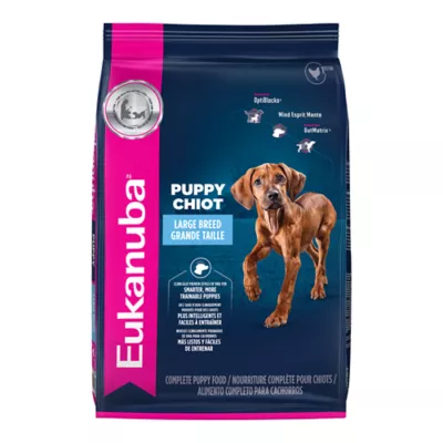 Eukanuba™ Large Breed Puppy Dry Dog Food - Chicken - Image 1