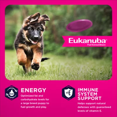 Eukanuba™ Large Breed Puppy Dry Dog Food - Chicken - Image 2