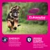 Eukanuba™ Large Breed Puppy Dry Dog Food - Chicken image thumbnail 2