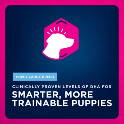 Eukanuba™ Large Breed Puppy Dry Dog Food - Chicken - Image 3