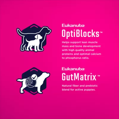 Eukanuba™ Large Breed Puppy Dry Dog Food - Chicken - Image 4