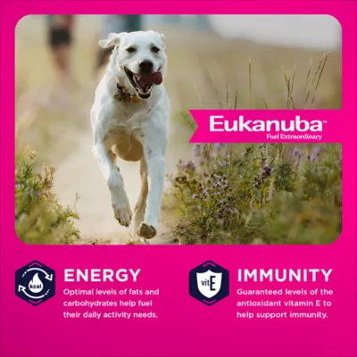 Eukanuba™ Large Breed Adult Dry Dog Food - Chicken - Image 2