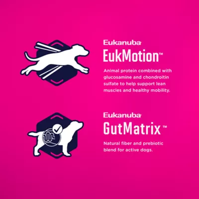 Eukanuba™ Large Breed Adult Dry Dog Food - Chicken - Image 4