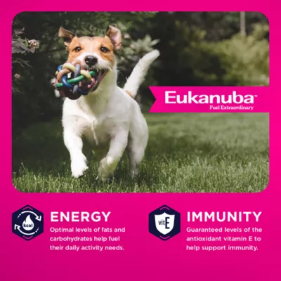 Eukanuba™ Small Breed Adult Dry Dog Food - Chicken - Image 2