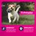 Eukanuba™ Small Breed Adult Dry Dog Food - Chicken image thumbnail 2