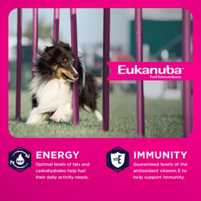 Eukanuba™ Medium Breed Adult Dry Dog Food - Chicken - Image 2