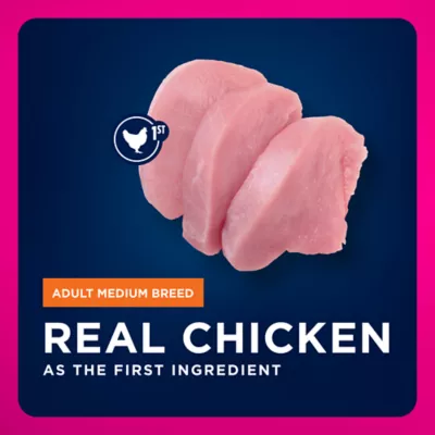 Eukanuba™ Medium Breed Adult Dry Dog Food - Chicken - Image 3