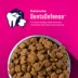 Eukanuba™ Medium Breed Adult Dry Dog Food - Chicken image thumbnail 5