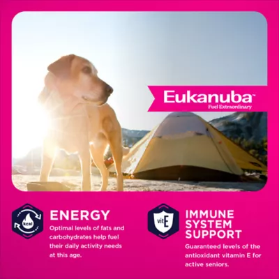 Eukanuba™ Large Breed Senior Dry Dog Food - Chicken - Image 2