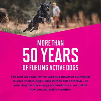 Eukanuba™ Large Breed Senior Dry Dog Food - Chicken - Image 9