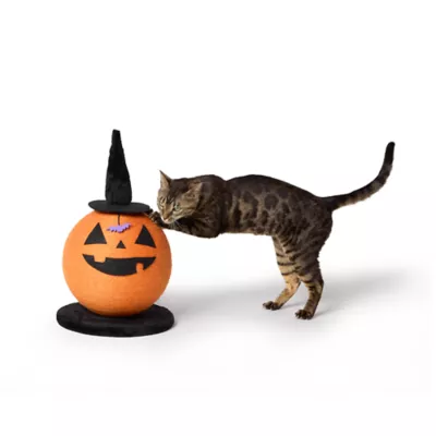 Thrills & Chills® Halloween Pumpkin Witch Cat Scratching Post 11.8 IN L X 11.8 IN W - Image 1