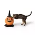 Thrills & Chills® Halloween Pumpkin Witch Cat Scratching Post 11.8 IN L X 11.8 IN W image thumbnail 1