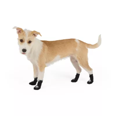 Thrills & Chills® Spider Dog Socks - Image 2