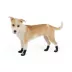 Thrills & Chills® Spider Dog Socks image thumbnail 2
