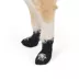 Thrills & Chills® Spider Dog Socks image thumbnail 3