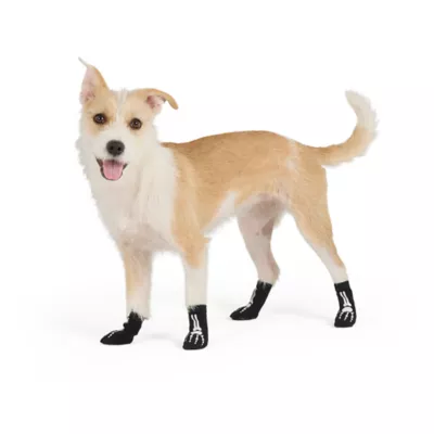 Thrills & Chills® Skeleton Dog Socks - Image 2