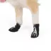 Thrills & Chills® Skeleton Dog Socks image thumbnail 3