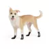 Thrills & Chills® Skeleton Dog Socks image thumbnail 2