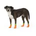 Thrills & Chills® Pumpkin Dog Socks image thumbnail 2
