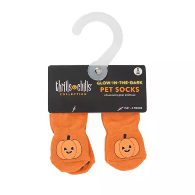 Thrills & Chills® Pumpkin Dog Socks - Image 5