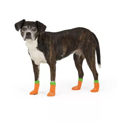 Thrills & Chills® Pumpkin Dog Socks - Image 2