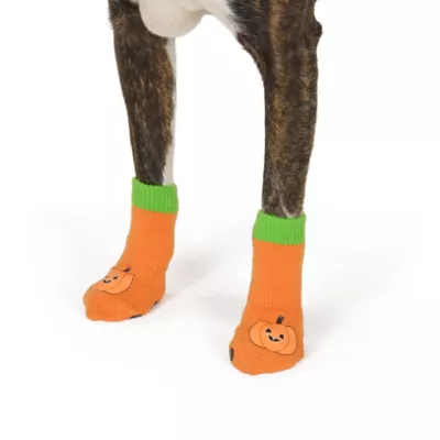 Thrills & Chills® Pumpkin Dog Socks - Image 3