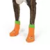 Thrills & Chills® Pumpkin Dog Socks image thumbnail 3