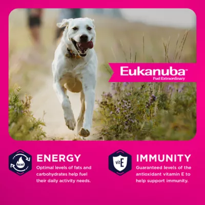 Eukanuba™ Large Breed Adult Dry Dog Food - Lamb & Rice - Image 2