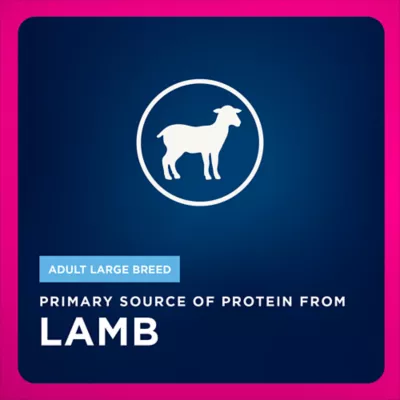 Eukanuba™ Large Breed Adult Dry Dog Food - Lamb & Rice - Image 3
