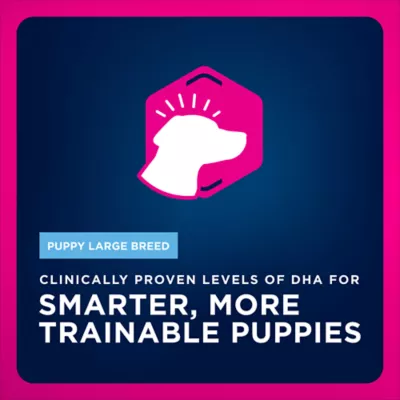 Eukanuba™ Large Breed Puppy Dry Dog Food - Chicken - Image 3