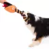 BARK Sandy Claws Snake Plush Dog Toy X-Large image thumbnail 5