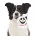 BARK Zoomie Zero Plush Dog Toy image thumbnail 3