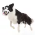 BARK Zoomie Zero Plush Dog Toy image thumbnail 5