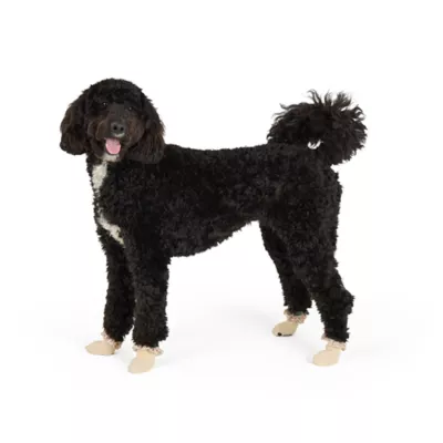 Top Paw® Ruffle Socks - Image 2