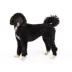 Top Paw® Ruffle Socks image thumbnail 2