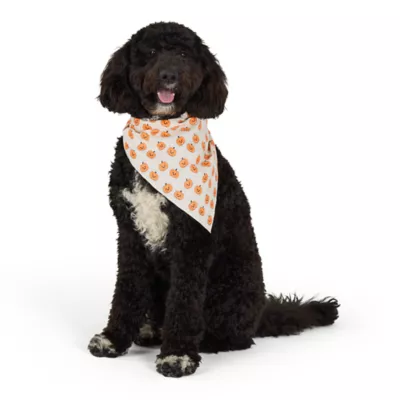 Thrills & Chills® Pumpkins Dog Bandana - Image 1