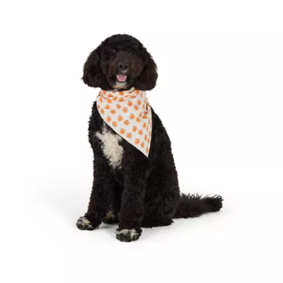 Thrills & Chills® Pumpkins Dog Bandana - Image 1